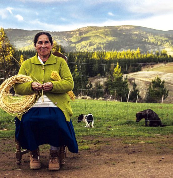 El Valle de Itata, lugar de cultura, paisajes y vinos de renombre, presentó su Guía de Turismo Rural Patrimonial