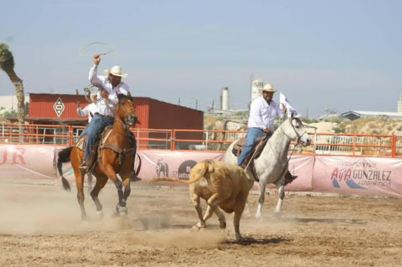 FESTIVAL BRÍO COUNTRY FEST 2025