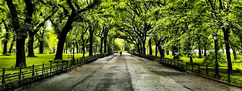 Áreas verdes en Central Park
