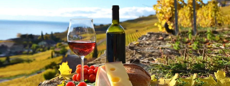 Los vinos de la zona de Querétaro serán protegidos a nivel mundial