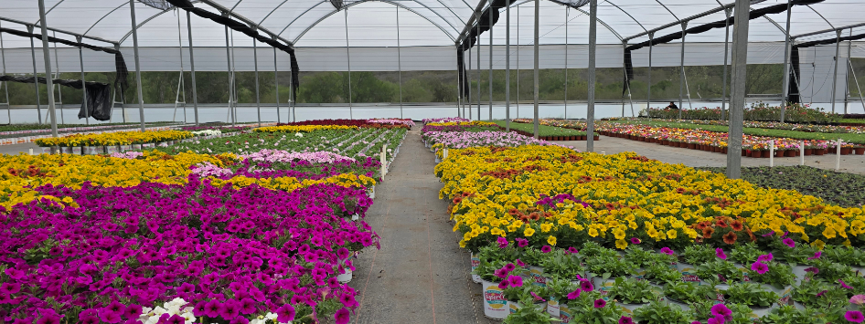 The Home Depot de la mano con Megaplant, fortaleciendo lazos de negocio