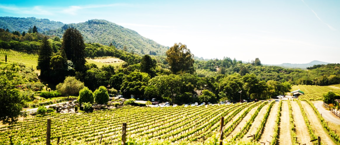 Desde el corazón de San Miguel de Allende, se llevó a cabo esta reunión estratégica en la que se presentaron los ejes del Plan de Enoturismo del Estado de Guanajuato 2025-2030, se trazaron líneas de trabajo conjunto con hoteles, centros de consumo, artesanos y cocineras tradicionales.