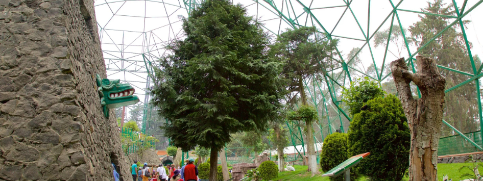 Recorre las diferentes secciones para ver a todos los animales del parque, entre los que hay varias especies en peligro de extinción.