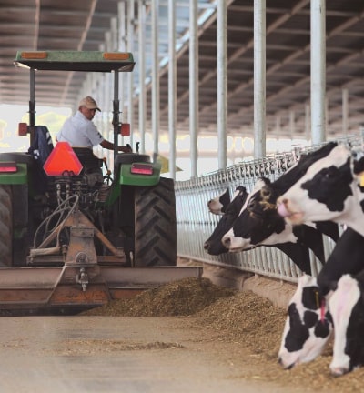 Mario Cerutti revisa un siglo de historia económica y empresarial de una región que, en medio del desierto, construyó una economía pujante primero sobre el algodón y luego sobre una de las cuencas lecheras más importantes de México.