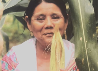 El título de la exposición proviene del náhuat: Taltikpak Nantsin traducido como “Madresita Tierra”. A través de la organización Masehual Siuamej Mosenyolchicahuani —que en náhuat se traduce como mujeres indígenas que se apoyan—,