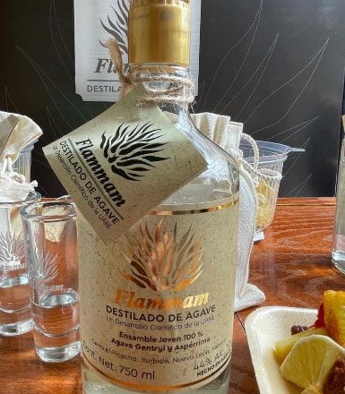 Al mezcal se le ha nombrado Flammam en honor al lema de la Universidad Autónoma de Nuevo León, Alere Flammam Veritatis, cuya traducción al español es ¨alienta la flama de la verdad¨.