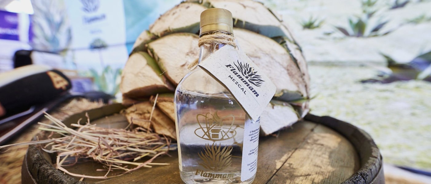 Mezcal Flammam; proyecto económico de la UANL que da empleo a más de 10 familias en Iturbide, Nuevo León
