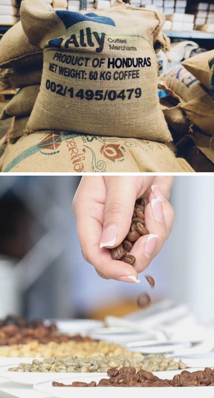 El café es la segunda fuente de divisas de Honduras, después de las remesas, y su producción sostenible está siendo reconocida a nivel internacional.