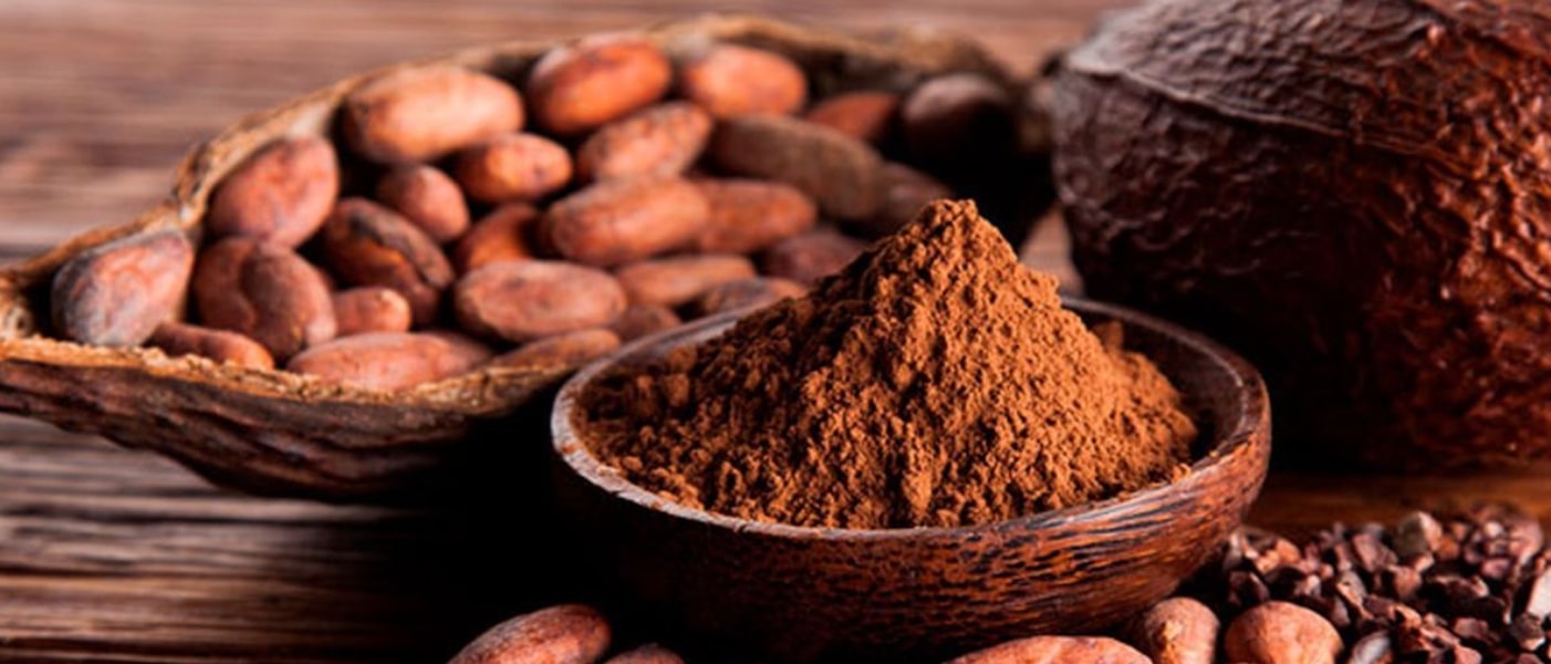 Del cacao al paladar: el futuro del chocolate es sustentable en 2025