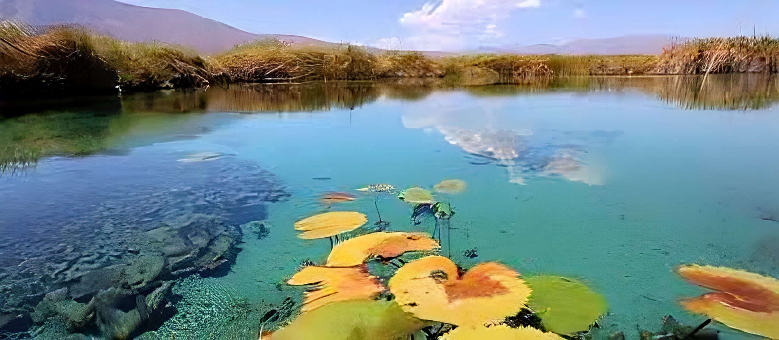 Coahuila guia turistica 2026