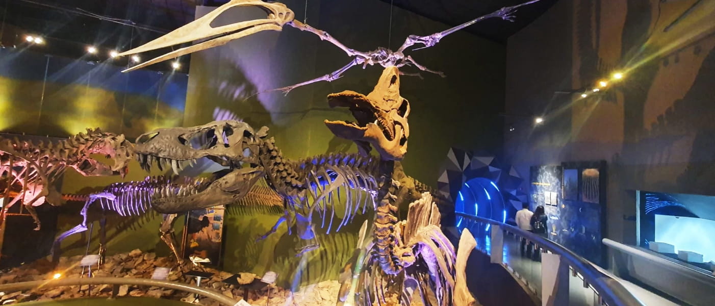 Firma Museo del Desierto de Saltillo para abrir tienda y exposición en el AIFA en 2026