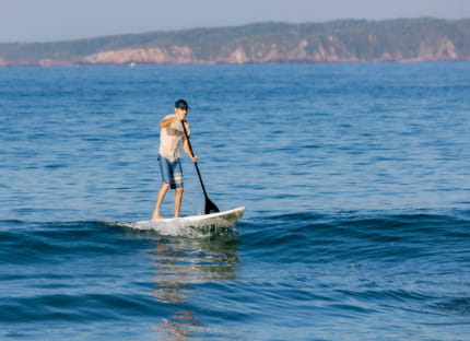 Costalegre, biodiversidad turística ideal para la relajación
