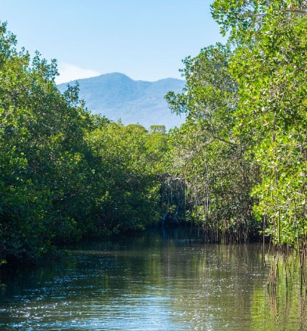 Estero El Salado: el gran pulmón de Puerto Vallarta