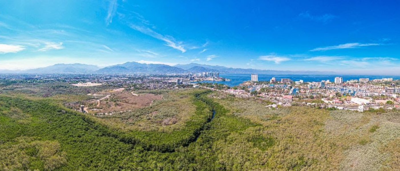 Estero El Salado: el gran pulmón de Puerto Vallarta