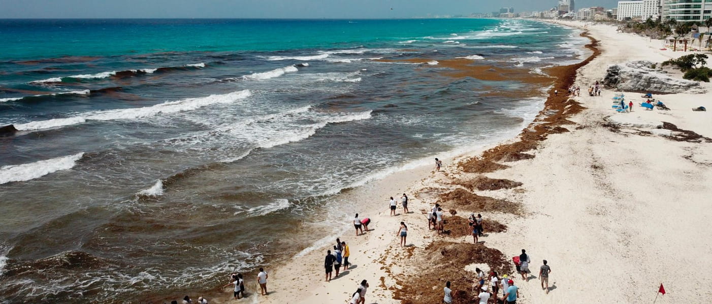 Fundación Puntacana, se consolida como una plataforma de investigación