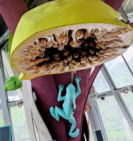 Biomuseo, testigo de la historia de Panamá