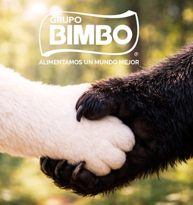 Programa Huellas, retos y propuestas