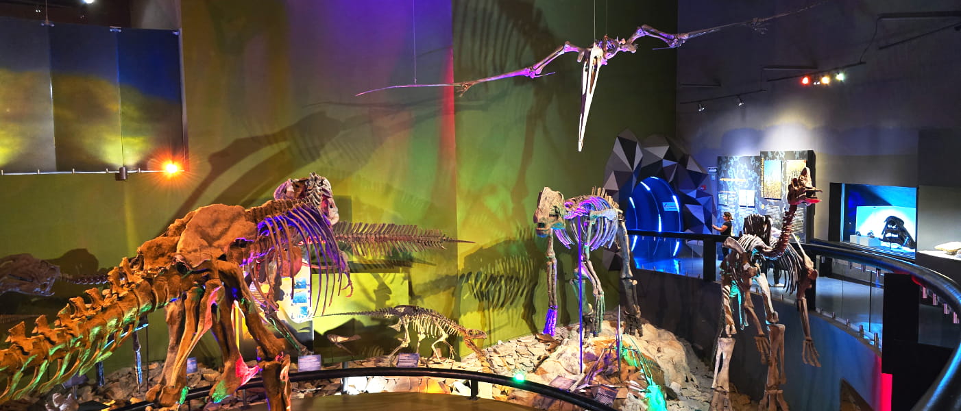 Museo del Desierto en Saltillo, una experiencia entre historia, vida y aventuras que debes visitar en 2026