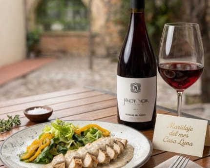 Saltillo, “Vinos y Dinos”: del Jurásico a la copa